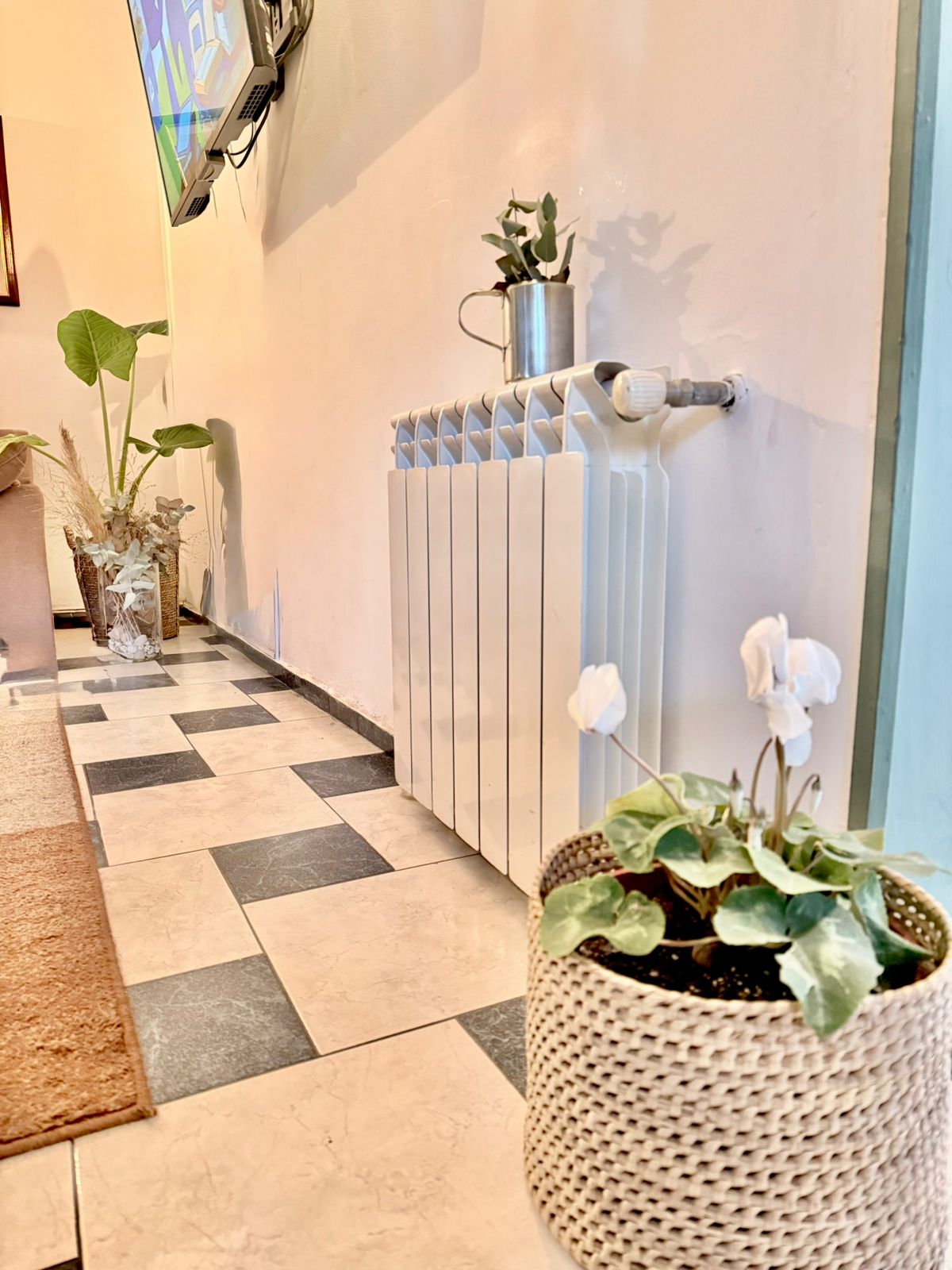 Heladerías VCP